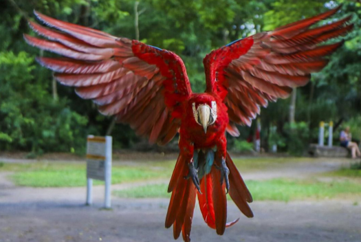 epossivelverararasembonito epossivelverararasembonito