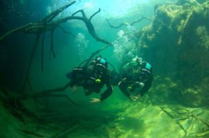 Mergulho no rio formoso 3 e1468969392161 kelm scuba11