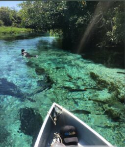 ddf87501 a6e8 4401 840d c497daf0287d 1